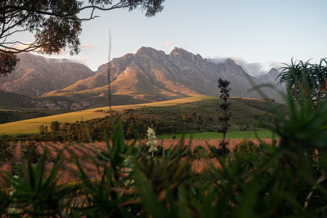 Mocke Media & Events